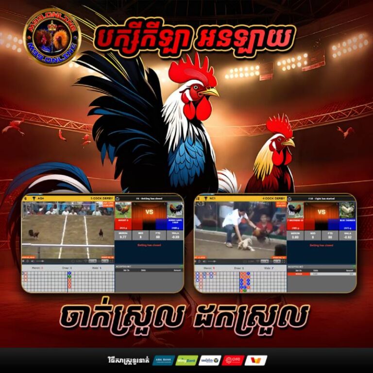 Mẹo Soi Kèo Đá Gà Chính Xác - Chìa Khóa Để Chiến Thắng